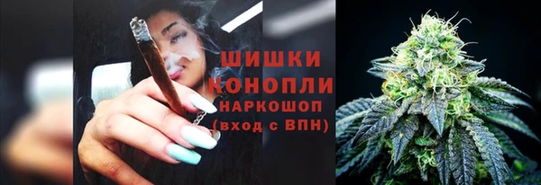 mdpv Белокуриха