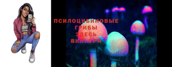 mdpv Белокуриха