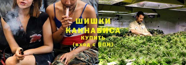 mdpv Белокуриха