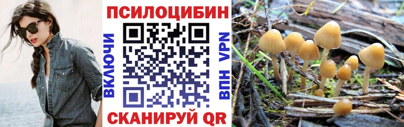 как найти наркотики  Бугульма  Галлюциногенные грибы ЛСД 